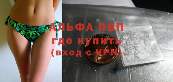 Альфа ПВП Галич