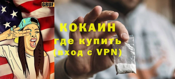 гашик Пестово