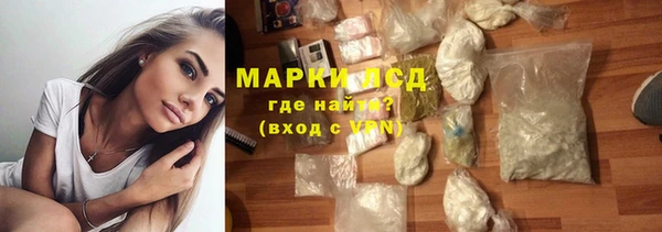 гашик Пестово