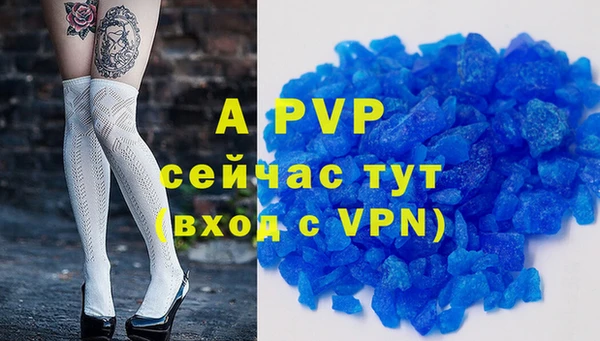 гашик Пестово