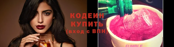гашик Пестово