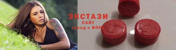 гашик Пестово