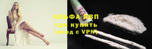 эйфоретик Осташков