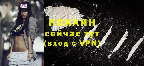 гашик Пестово