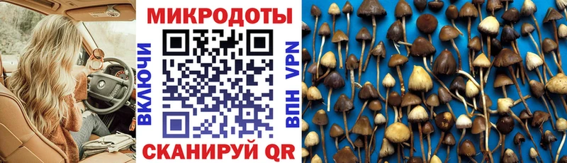 Галлюциногенные грибы MAGIC MUSHROOMS  Солигалич 